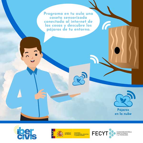 publicacion-pajaros-facebook-e-instagram
