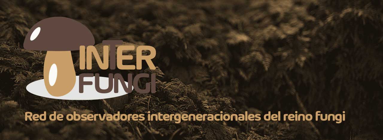 interfungi_1