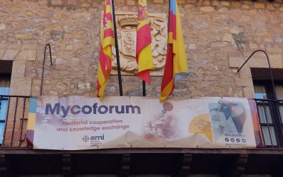 Mycoforum: lanzamiento del proyecto de ciencia ciudadana Interfungi en un evento con expertos y aficionados de 25 países