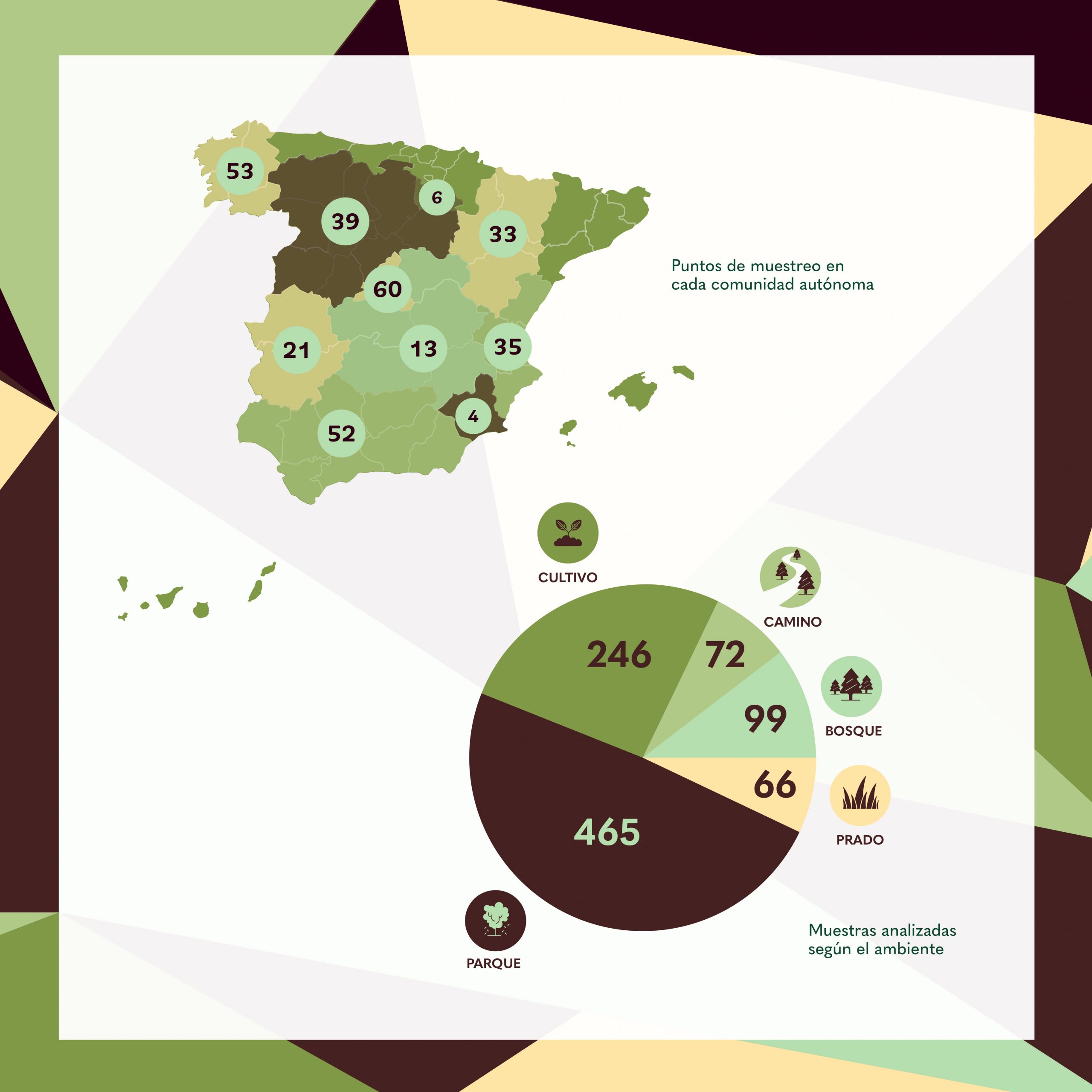 Resultados vigilantes-04